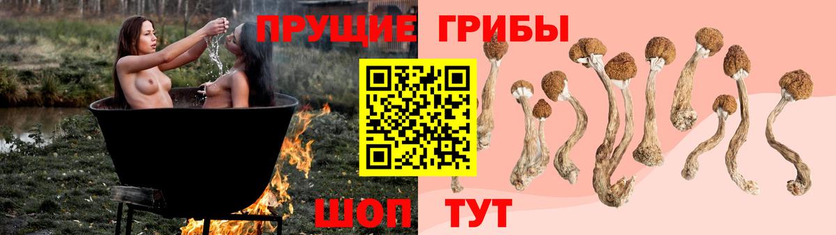Лысьва  Галлюциногенные грибы прущие грибы  наркота  Вход с VPN  Галлюциногенные грибы MAGIC MUSHROOMS 